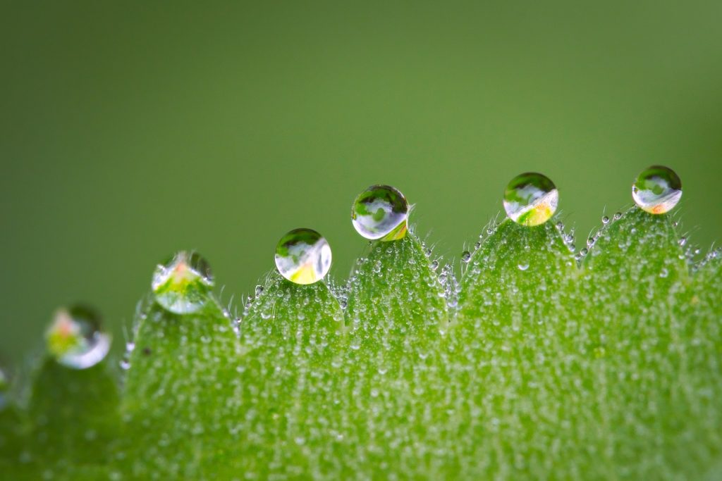 雨